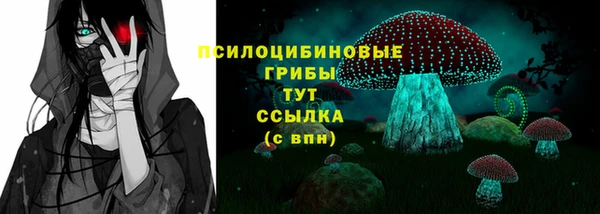 кокс Арсеньев