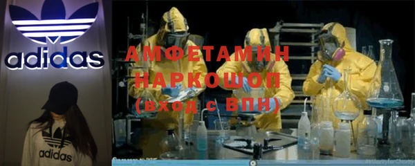 стаф Аркадак