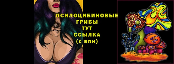 стаф Аркадак