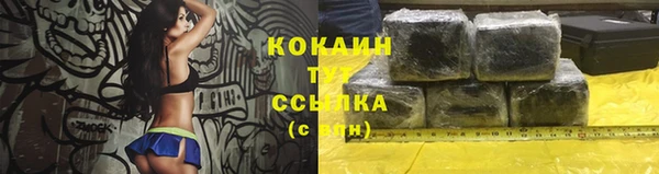 стаф Аркадак