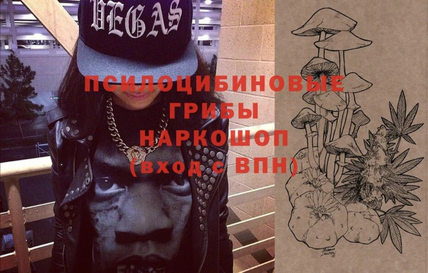 стаф Аркадак