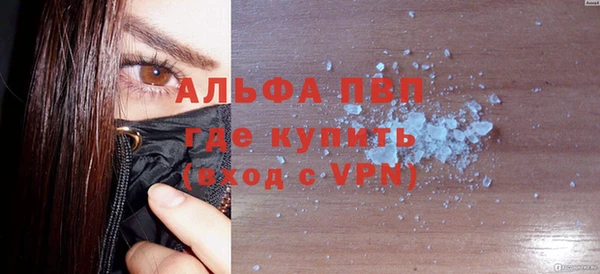 стаф Аркадак
