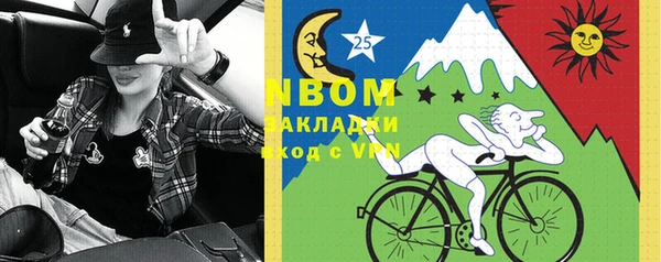 стаф Аркадак