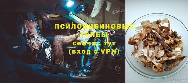 ешки Армянск