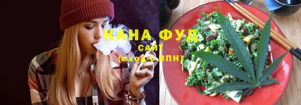 стаф Аркадак
